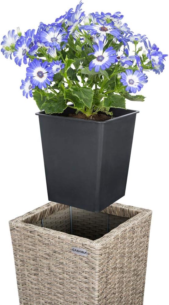 Casaria® Blumentopf 3er Set Polyrattangeflecht Übertopf Wasserabfluss Rattanoptik Outdoor Pflanzkübel Blumenkasten Creme — Ansicht 2